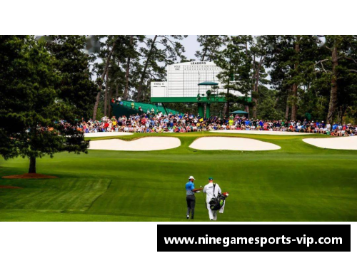 飞哥球员：探索其独特球场魅力与非凡生涯