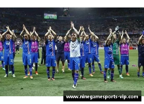 冰岛球员集结：他们的光环与挑战